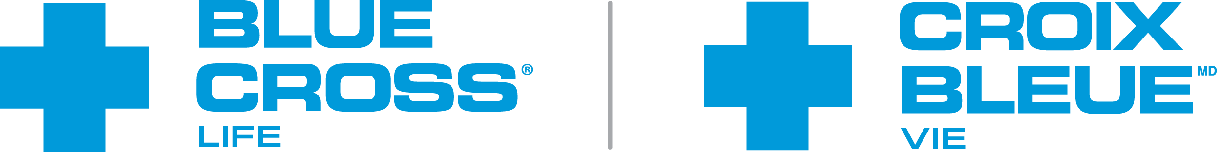 Blue Cross Life Insurance Company of Canada